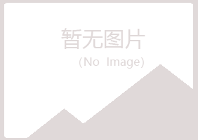 五大连池迷失化学有限公司